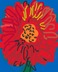 GERBER-ORANGE-DAISY