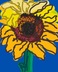SUNFLOWER-2015